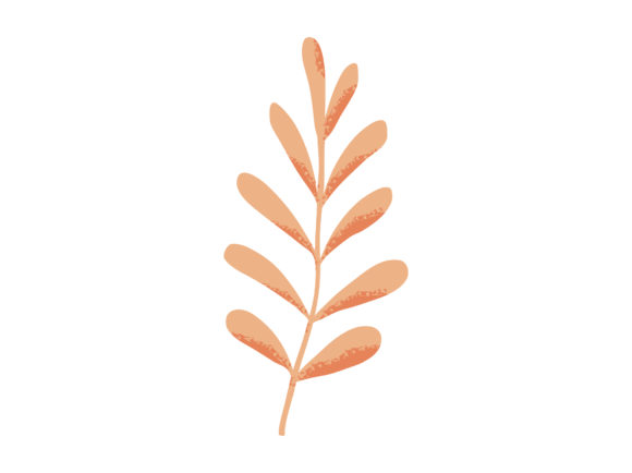 Natural Leaves Herbs in Vivid Color