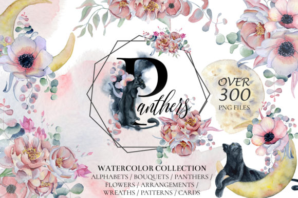 Panthers Floral Watercolor Set