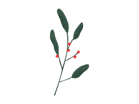 Winter Leaves Holly Branches Red Berries
